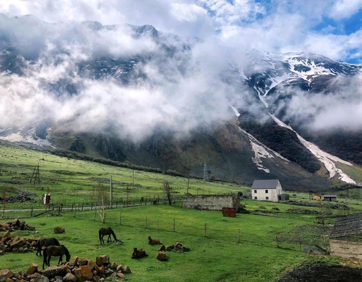 Arte In Kazbegi Hotel Eksteriør billede